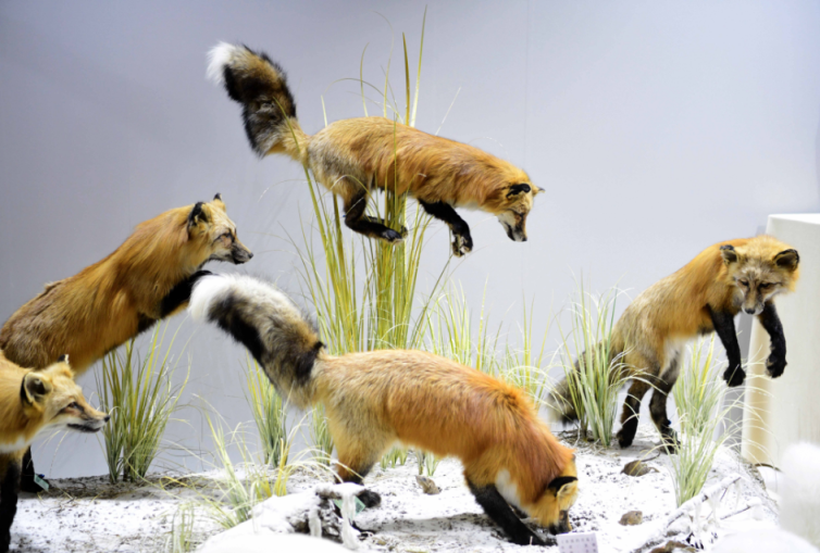 图片2.png 图片2.png