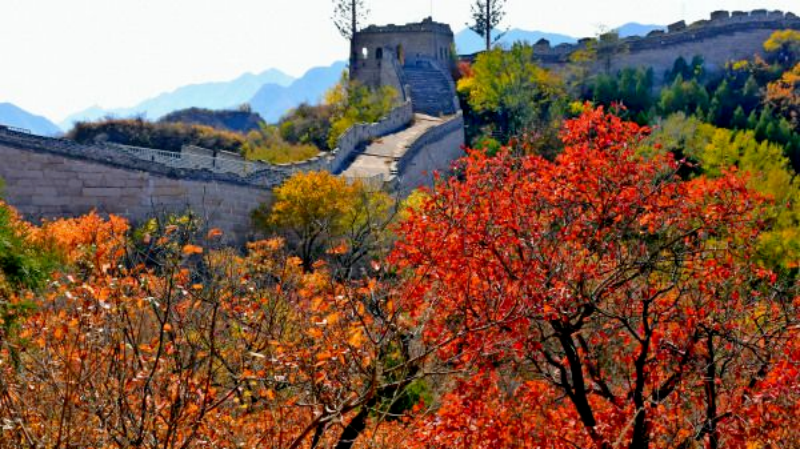 图片4_Copy.png 图片4_Copy.png