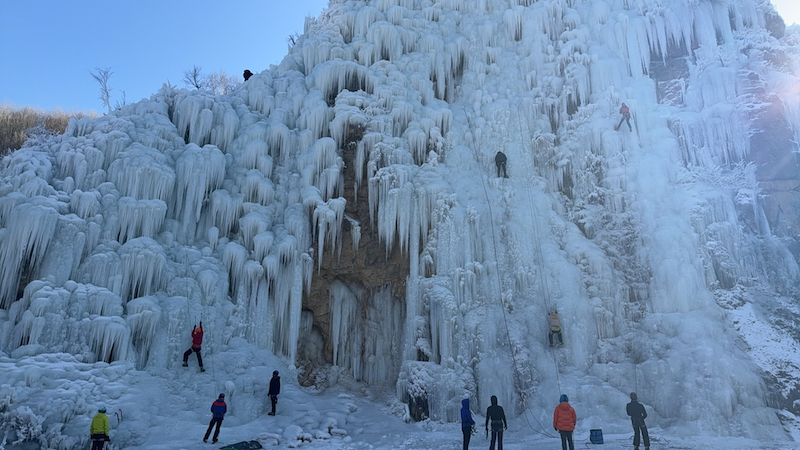 内容 800 .png 内容 800 .png