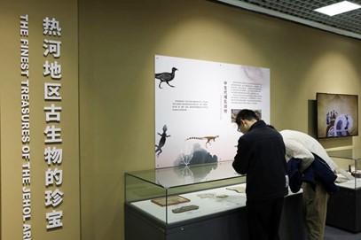 图片10.jpg