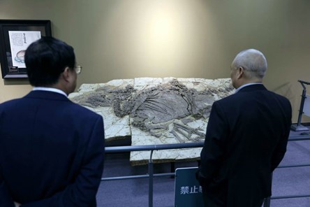 图片12.jpg