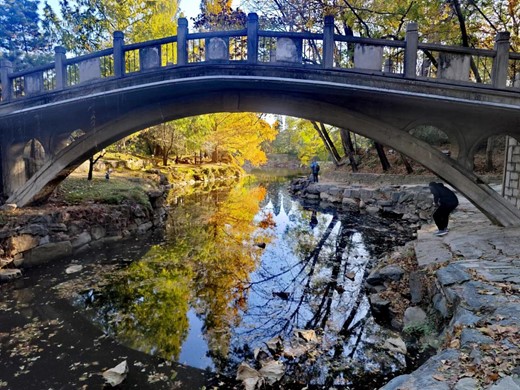 图片1.jpg 图片1.jpg