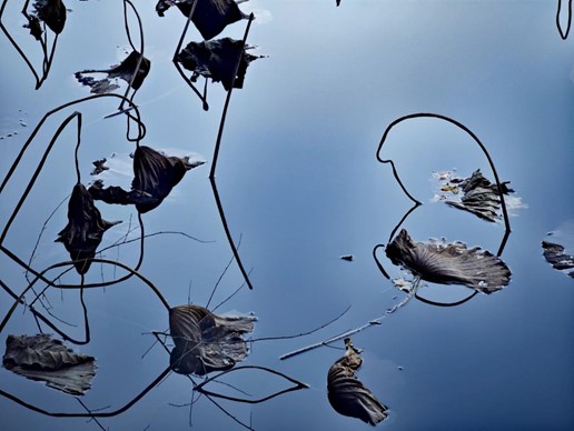 图片3.jpg 图片3.jpg