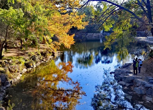 图片4.jpg 图片4.jpg