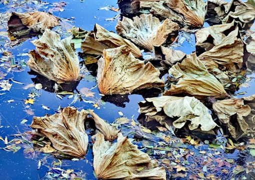 图片5.jpg 图片5.jpg