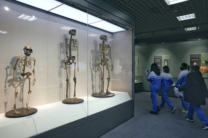 图片1.jpg 图片1.jpg