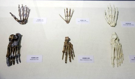 图片3.jpg 图片3.jpg