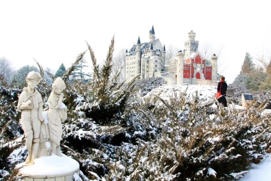 图片9.jpg 图片9.jpg