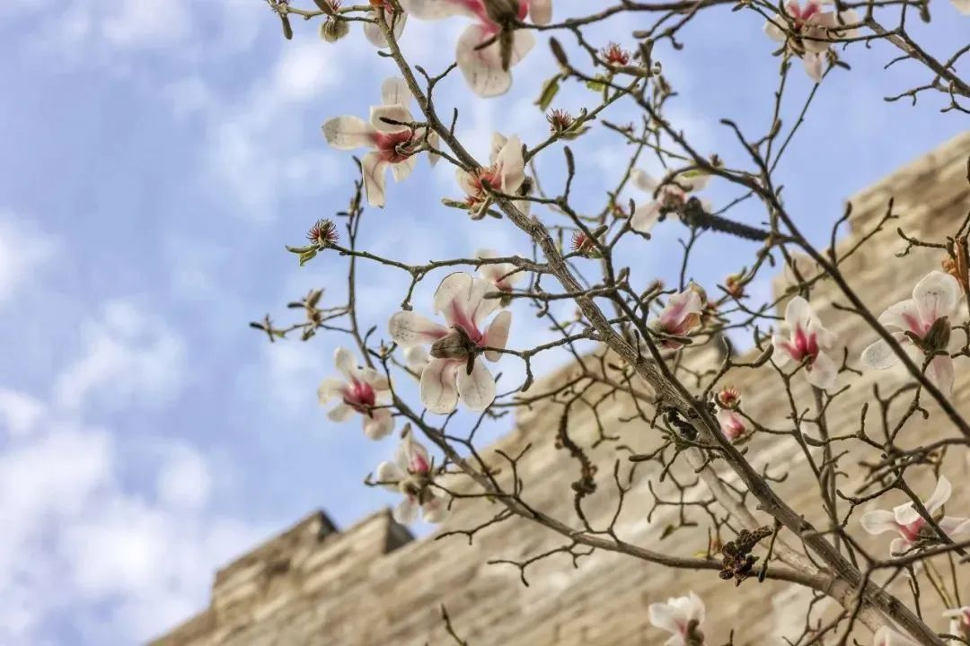 图片5.png 图片5.png