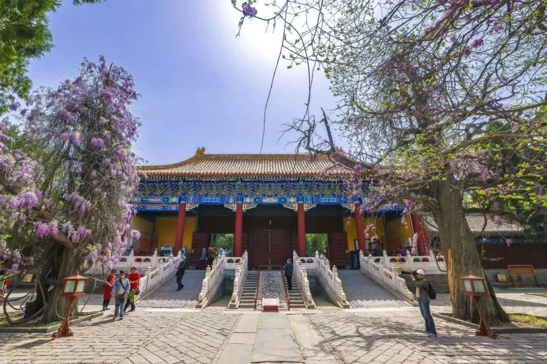 图片6.png 图片6.png