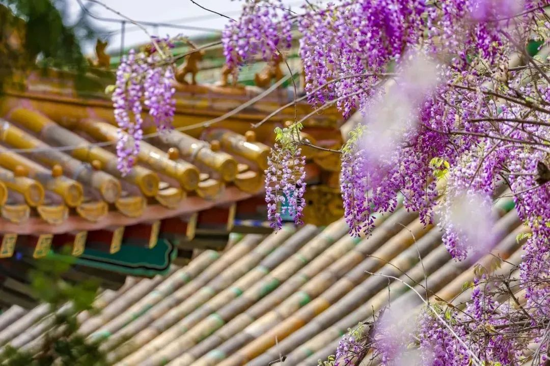 图片7.png 图片7.png