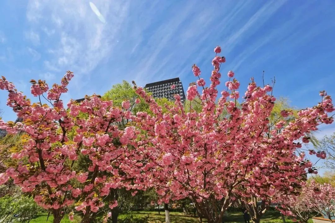 图片8.png 图片8.png