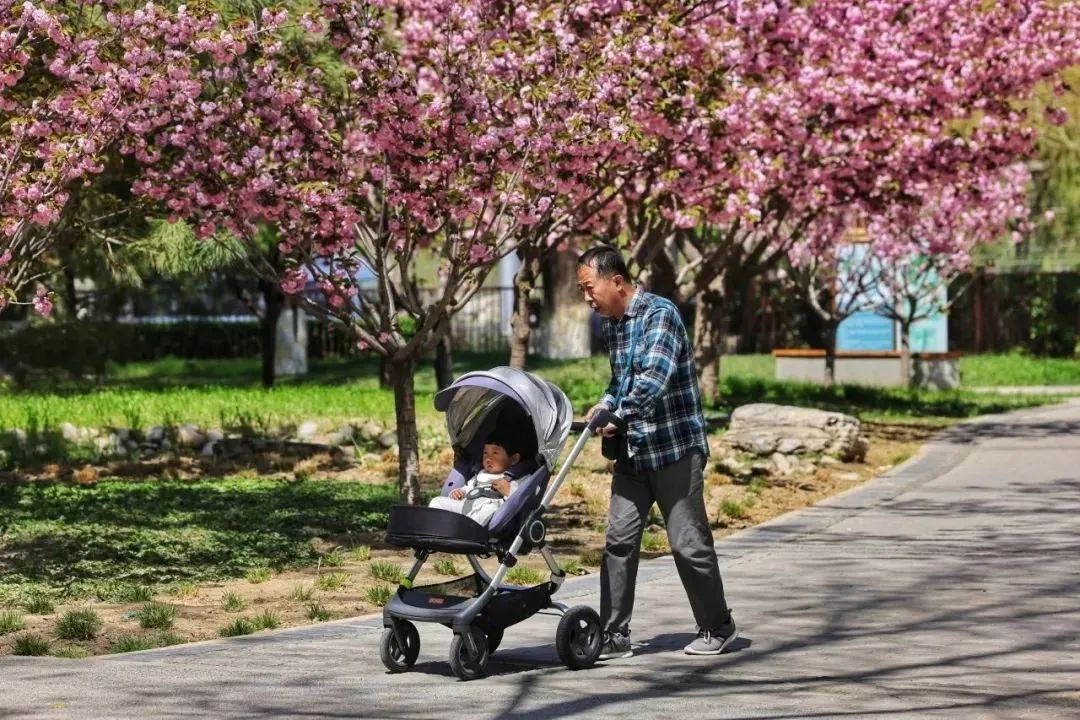 图片9.png 图片9.png