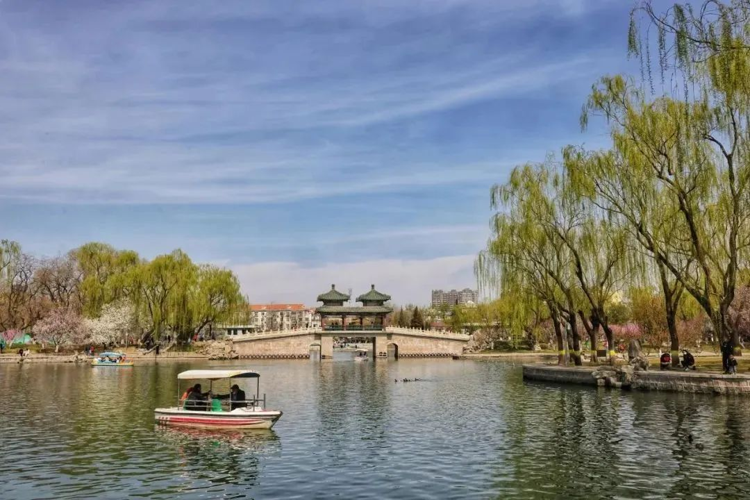 图片10.png 图片10.png