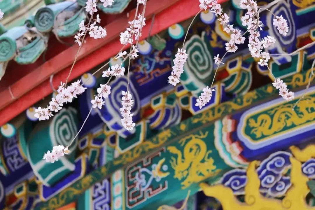 图片11.png 图片11.png