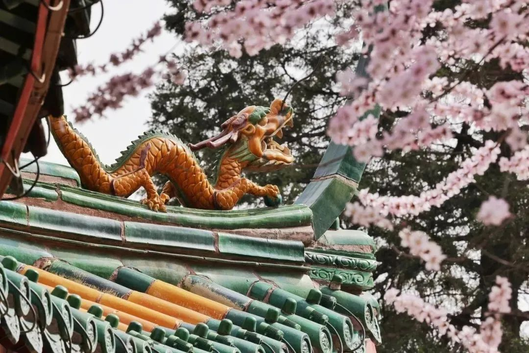 图片12.png 图片12.png