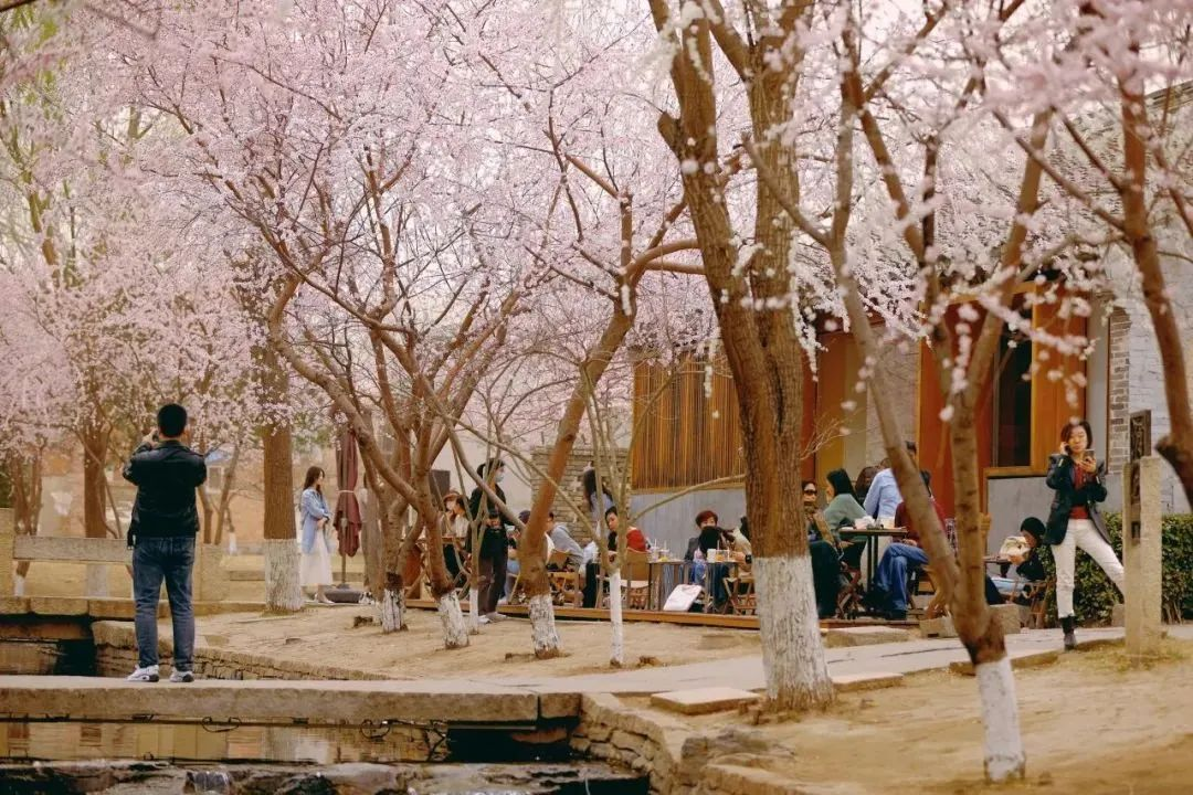 图片13.png 图片13.png