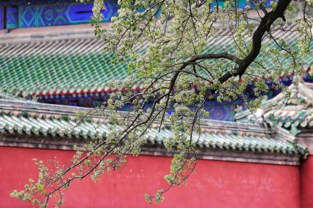 图片14.png 图片14.png