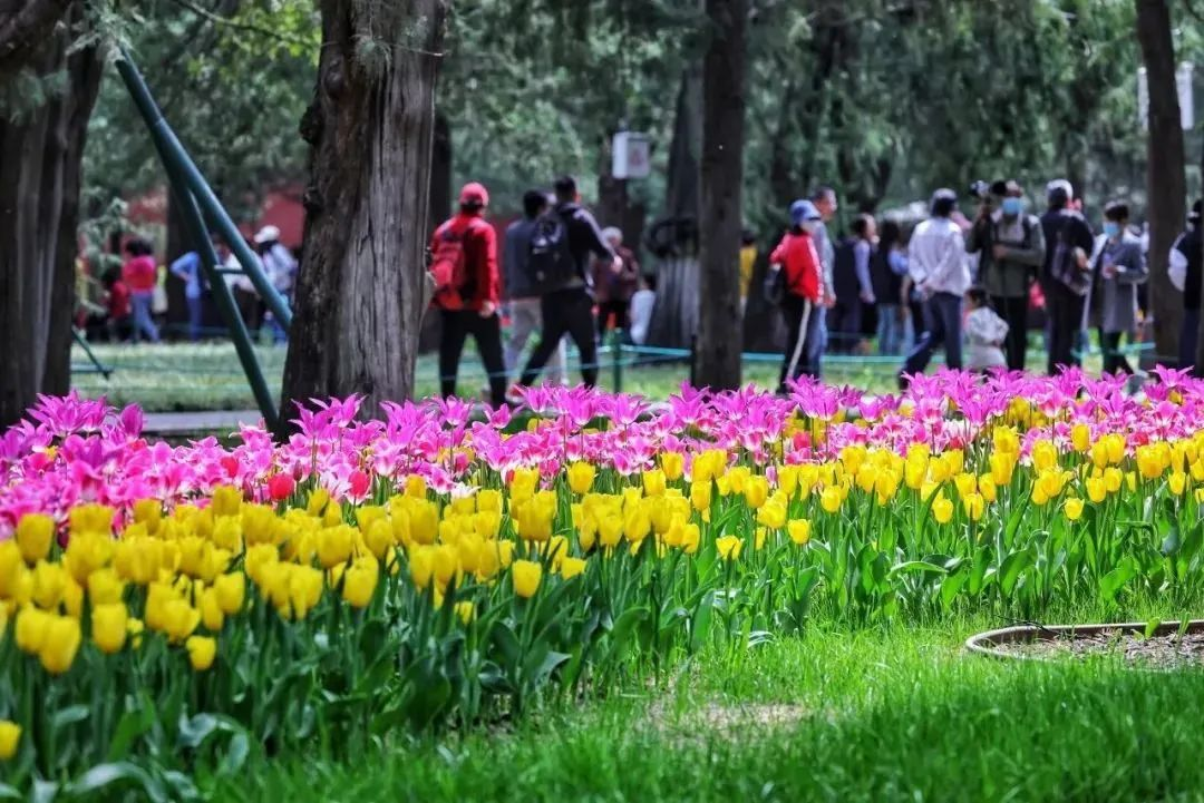 图片18.png 图片18.png