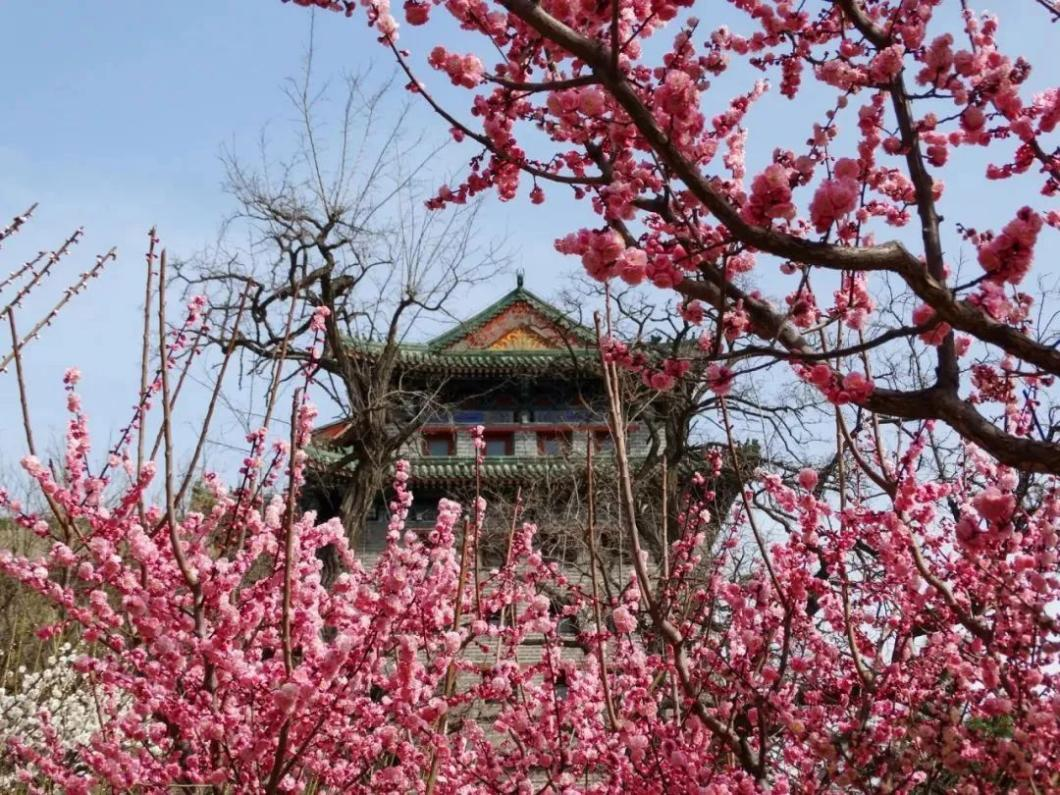 图片20.png 图片20.png