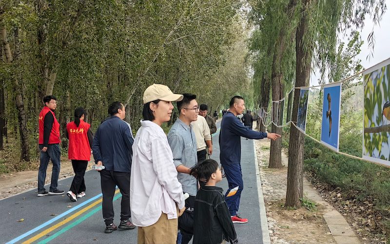 新京报 内容图 800 .jpeg