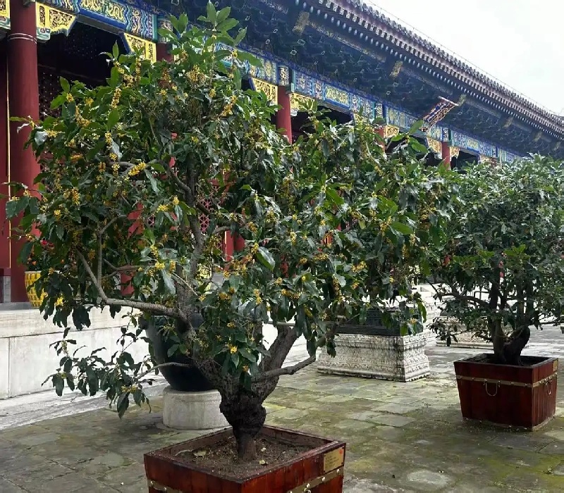 图片来源:北京日报客户端.jpg 图片来源:北京日报客户端.jpg