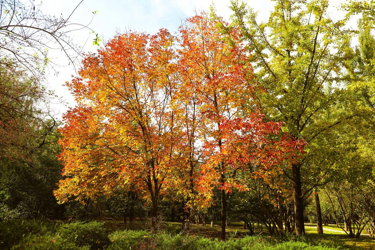 图片2.png 图片2.png