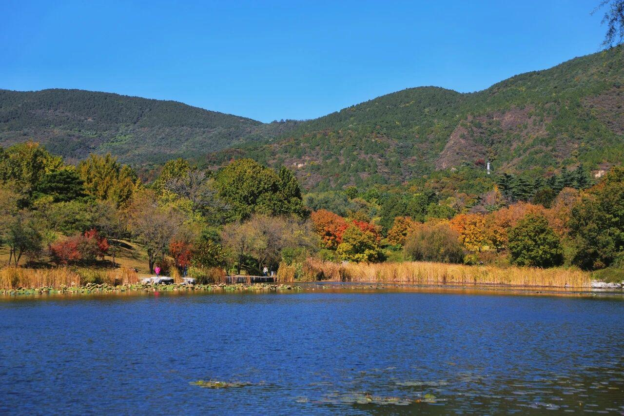 图片4.png 图片4.png