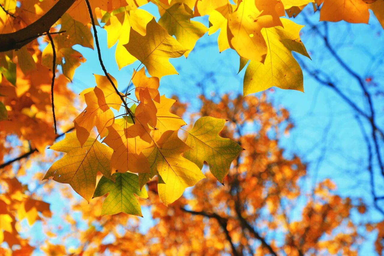 图片5.png 图片5.png