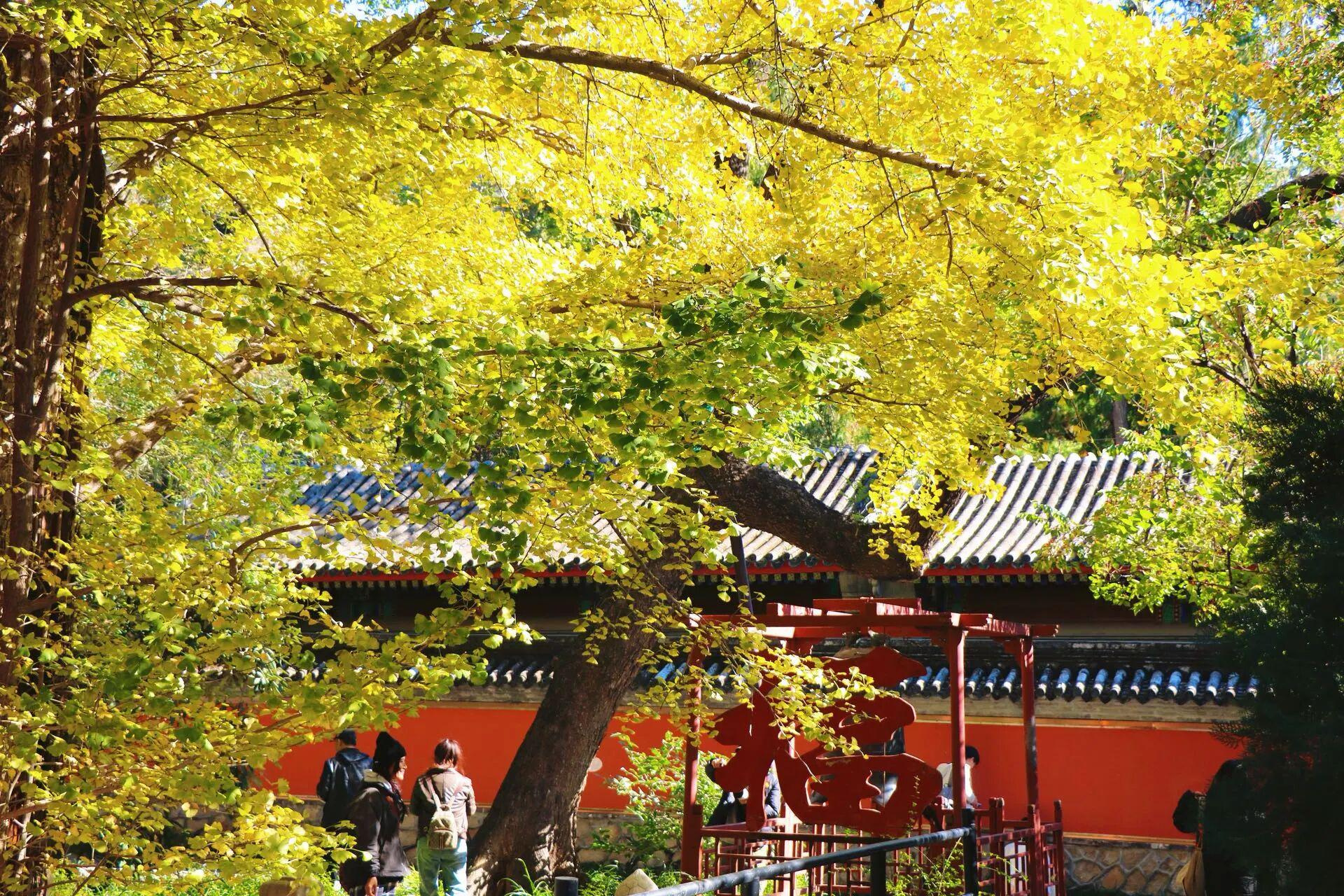 图片6.png 图片6.png