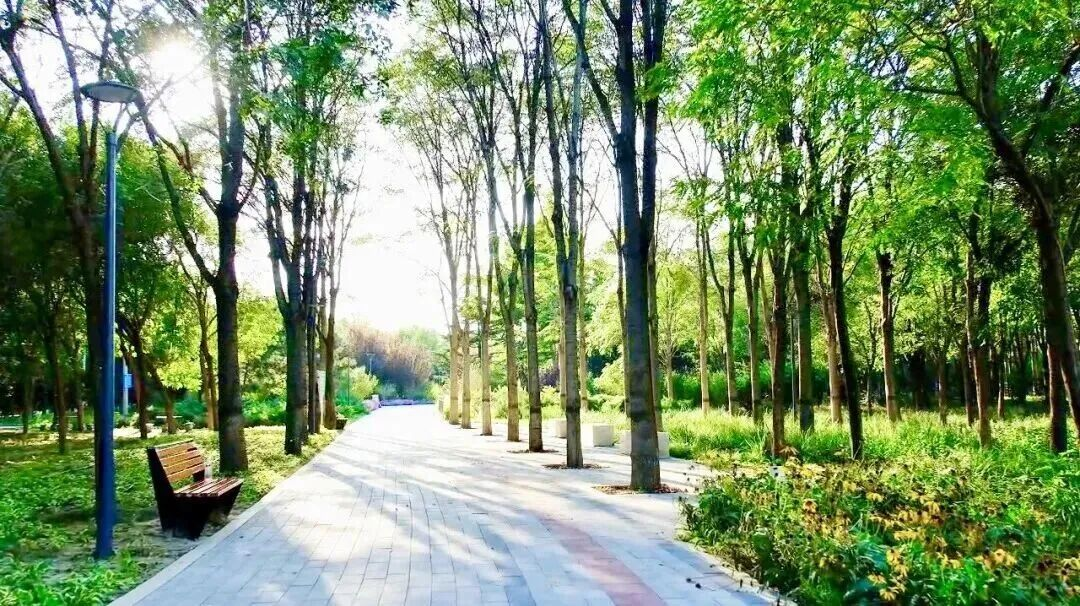 图片 1.png 图片 1.png