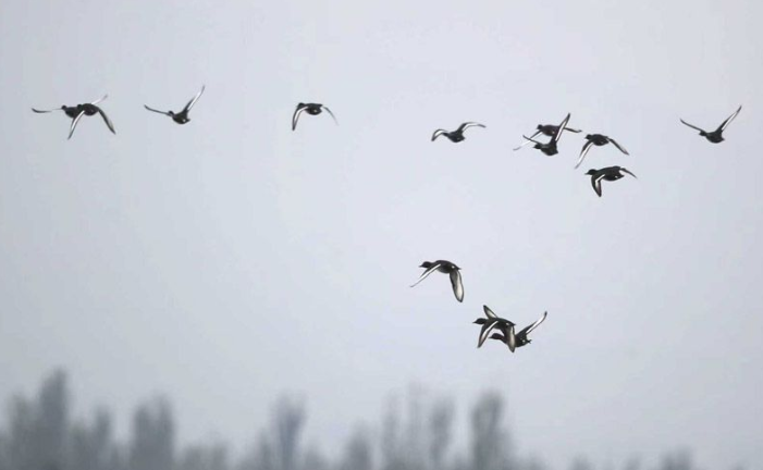 内容2.png 内容2.png