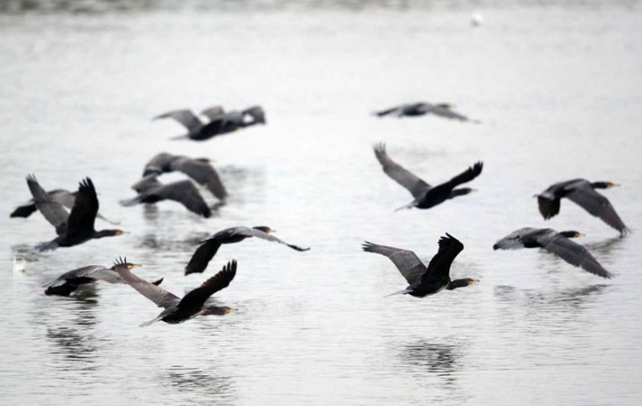 内容4.png 内容4.png