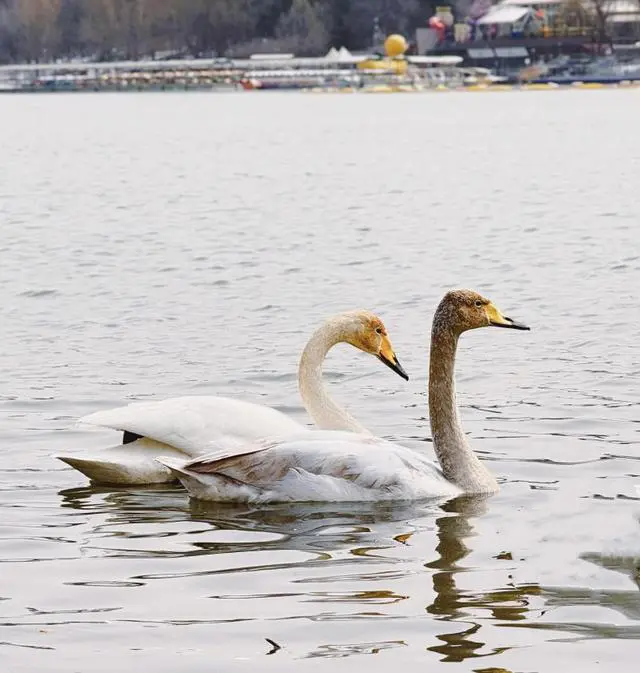 图片6.png 图片6.png