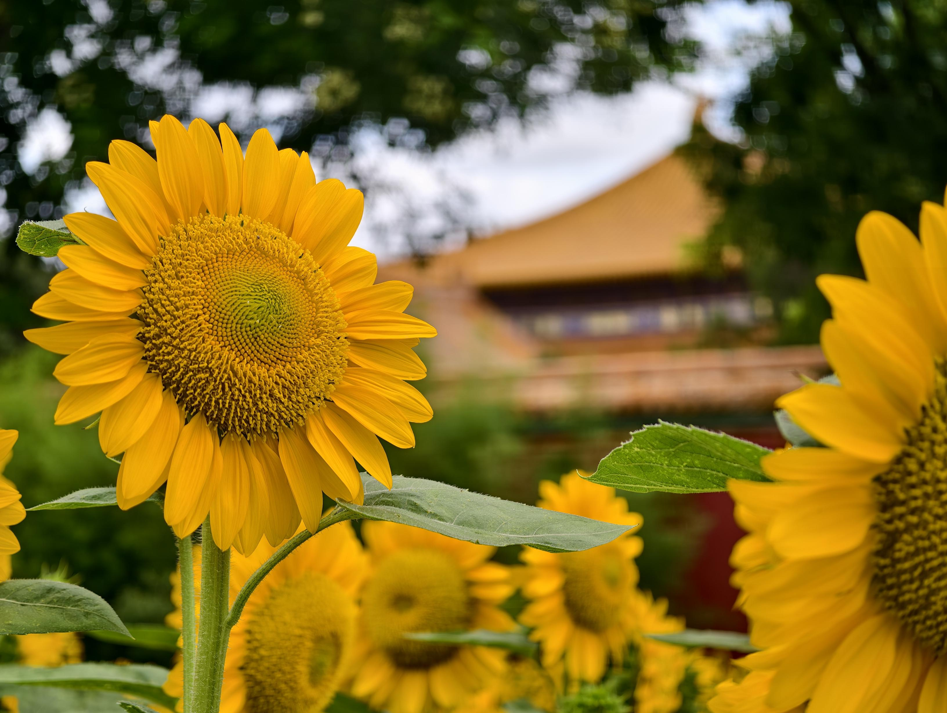 图片3.png 图片3.png