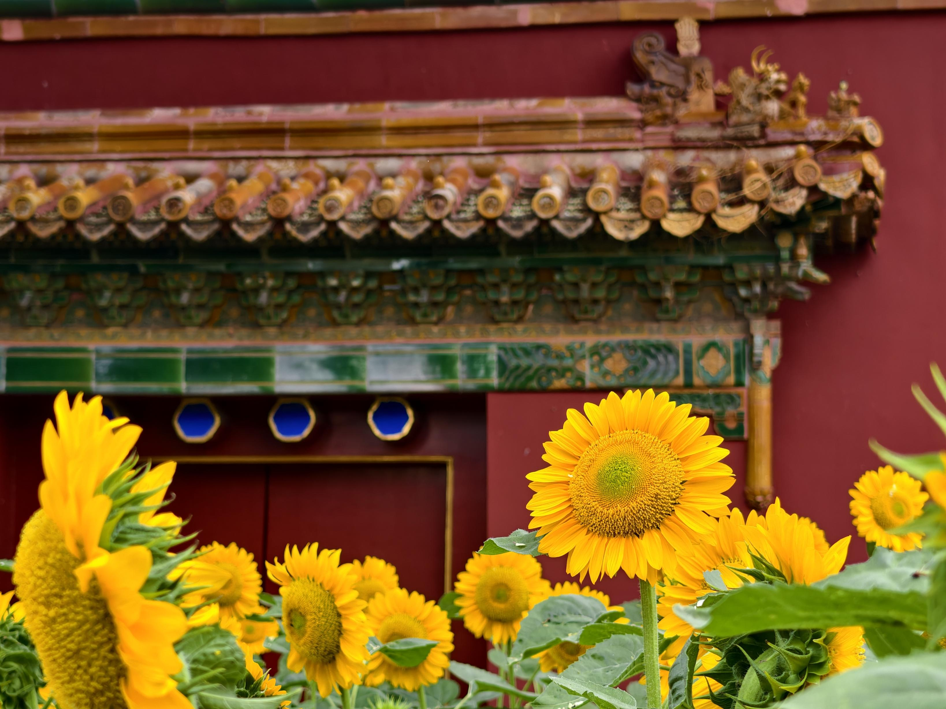 图片5.png 图片5.png