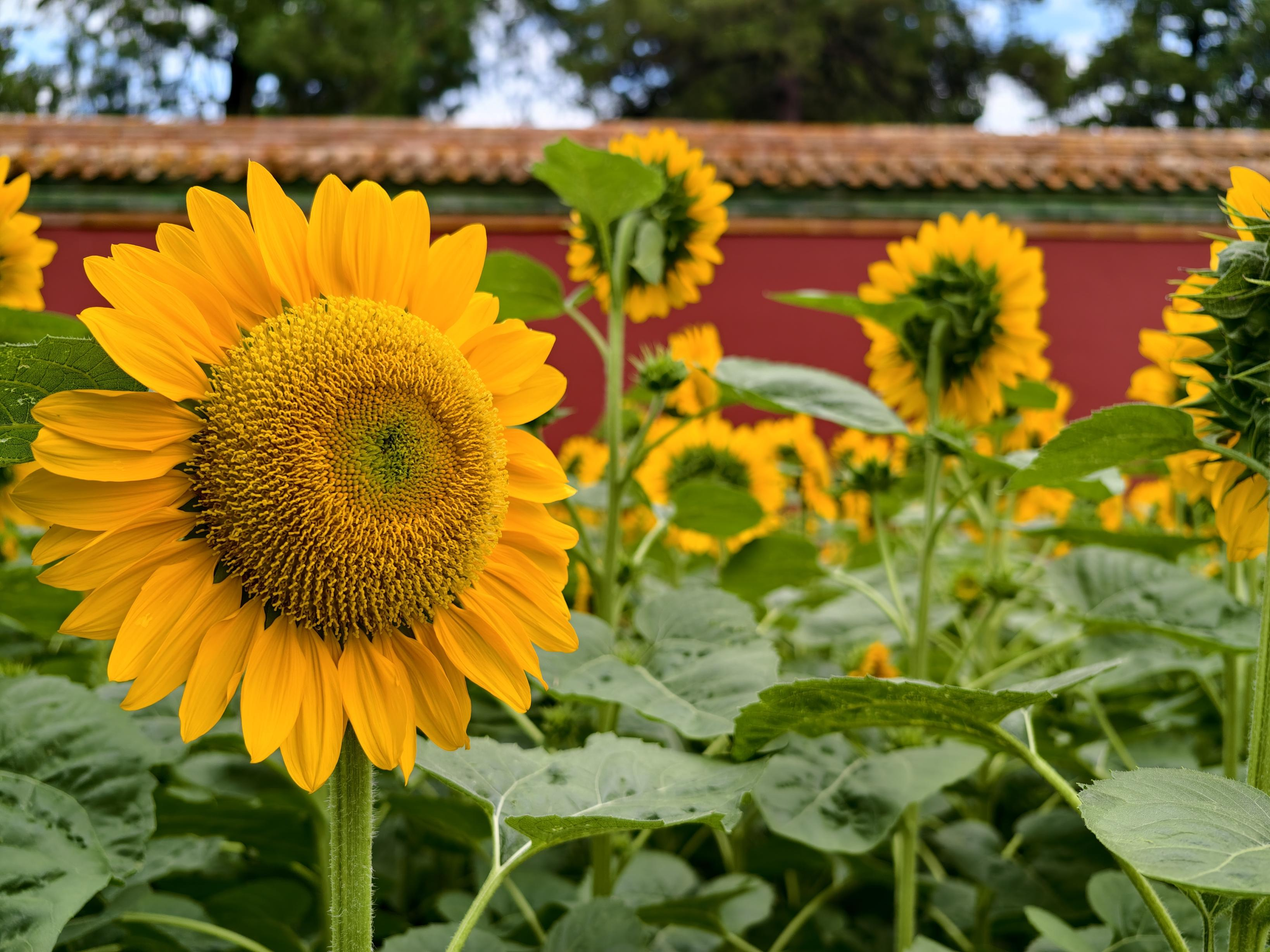 图片6.png 图片6.png