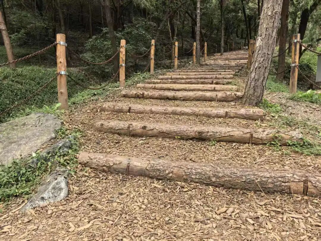 生态1.jpg 生态1.jpg