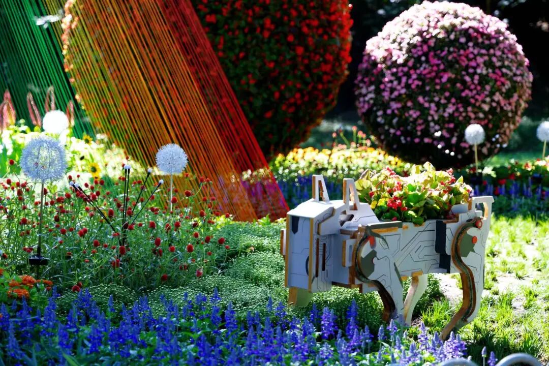 生态3.jpg 生态3.jpg