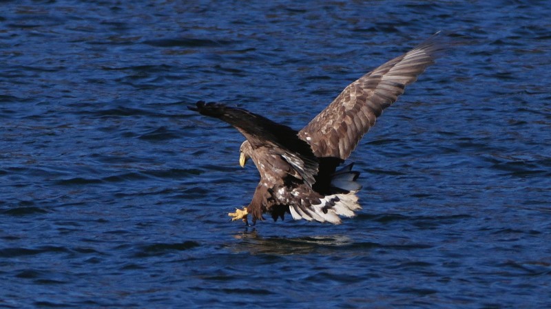 刘彤 摄于西峪水库9.jpg