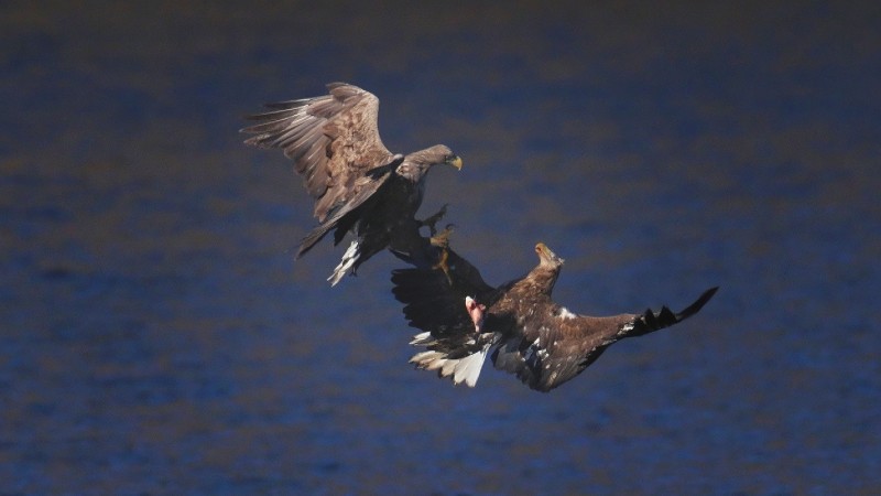 刘彤 摄于西峪水库8.jpg 刘彤 摄于西峪水库8.jpg