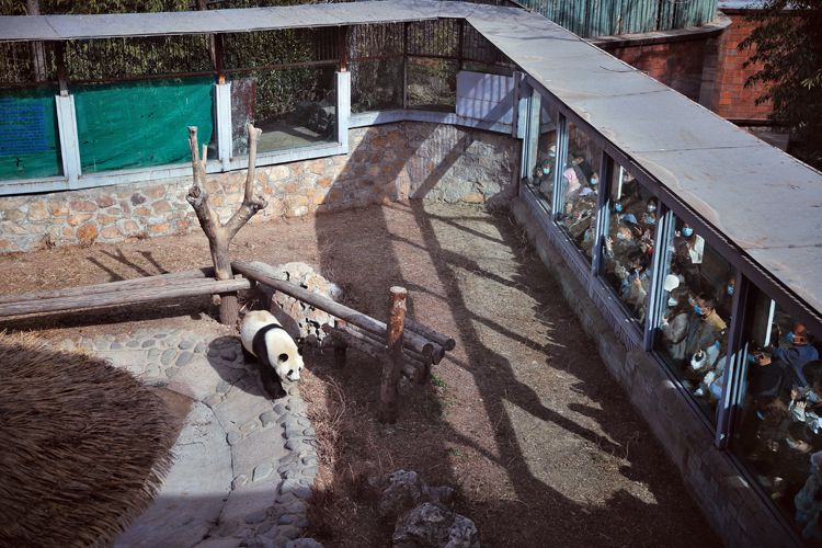 图片2.png 图片2.png