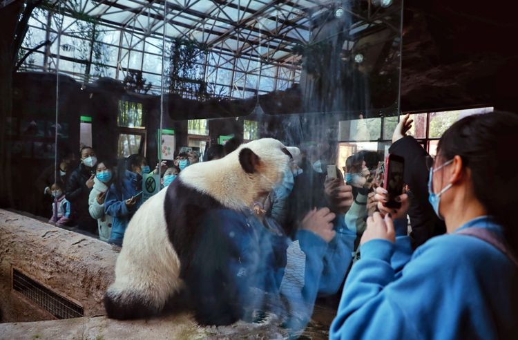 图片4.png 图片4.png