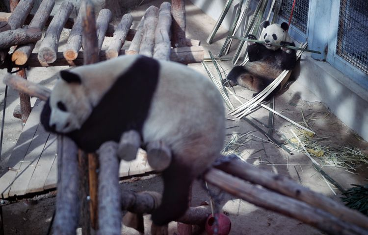 图片6.png 图片6.png