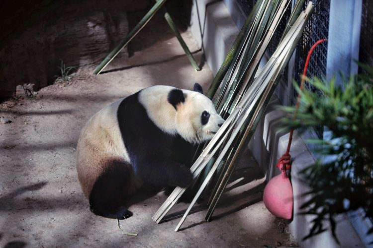 图片7.png 图片7.png