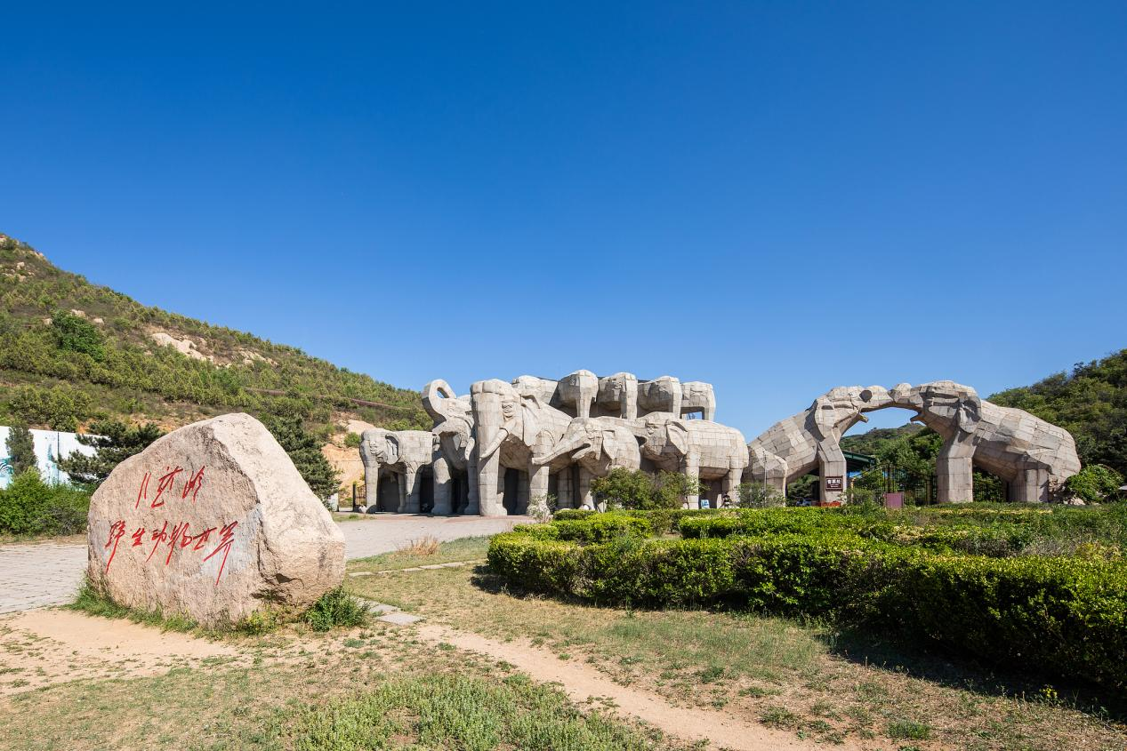 北京八达岭野生动物世界1 800.png