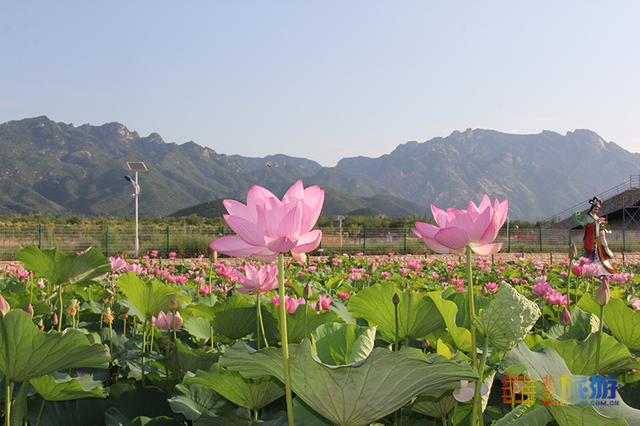 线路1-5.png 线路1-5.png