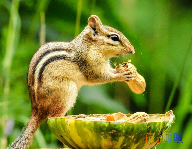 线路7-4.png 线路7-4.png