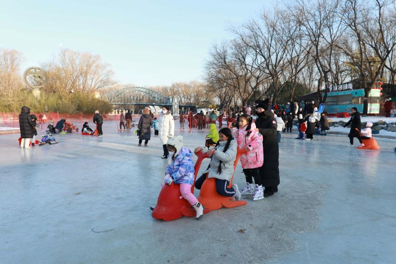 图片3 摄影:赵彤.png 图片3 摄影:赵彤.png