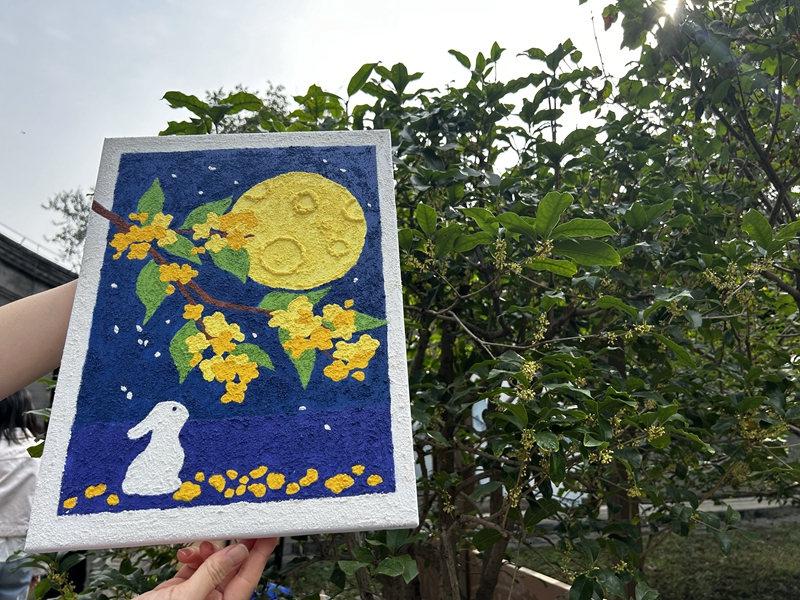 图片2.png 图片2.png